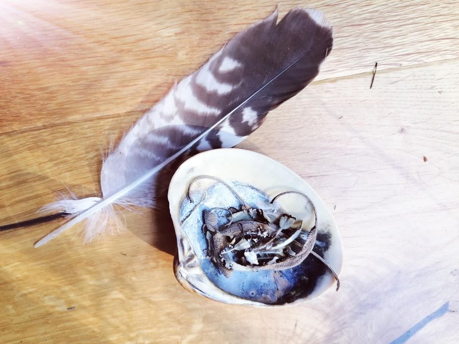 Craniosacrale Biodynamik Aachen